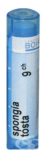 Spongia tosta 9ch