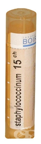 Staphylococcinum 15ch