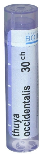Thuya occidentalis ch 30